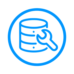 Data Recovery Services